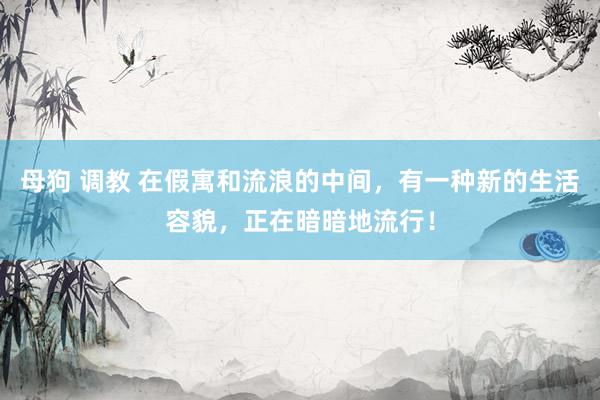 母狗 调教 在假寓和流浪的中间，有一种新的生活容貌，正在暗暗地流行！