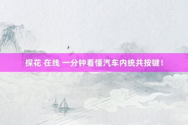探花 在线 一分钟看懂汽车内统共按键！