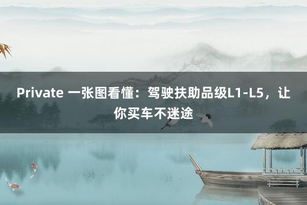Private 一张图看懂：驾驶扶助品级L1-L5，让你买车不迷途