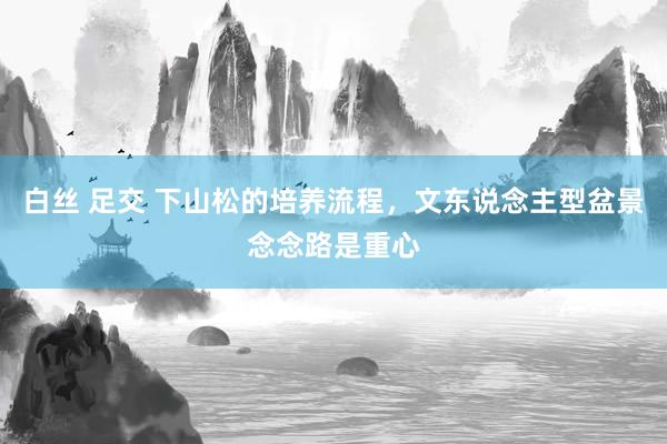白丝 足交 下山松的培养流程，文东说念主型盆景念念路是重心