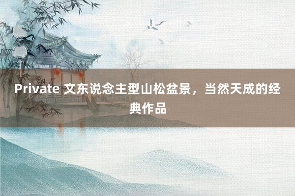 Private 文东说念主型山松盆景，当然天成的经典作品