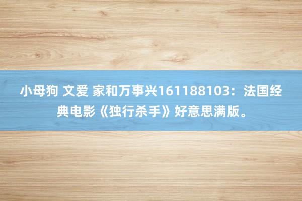 小母狗 文爱 家和万事兴161188103：法国经典电影《独行杀手》好意思满版。